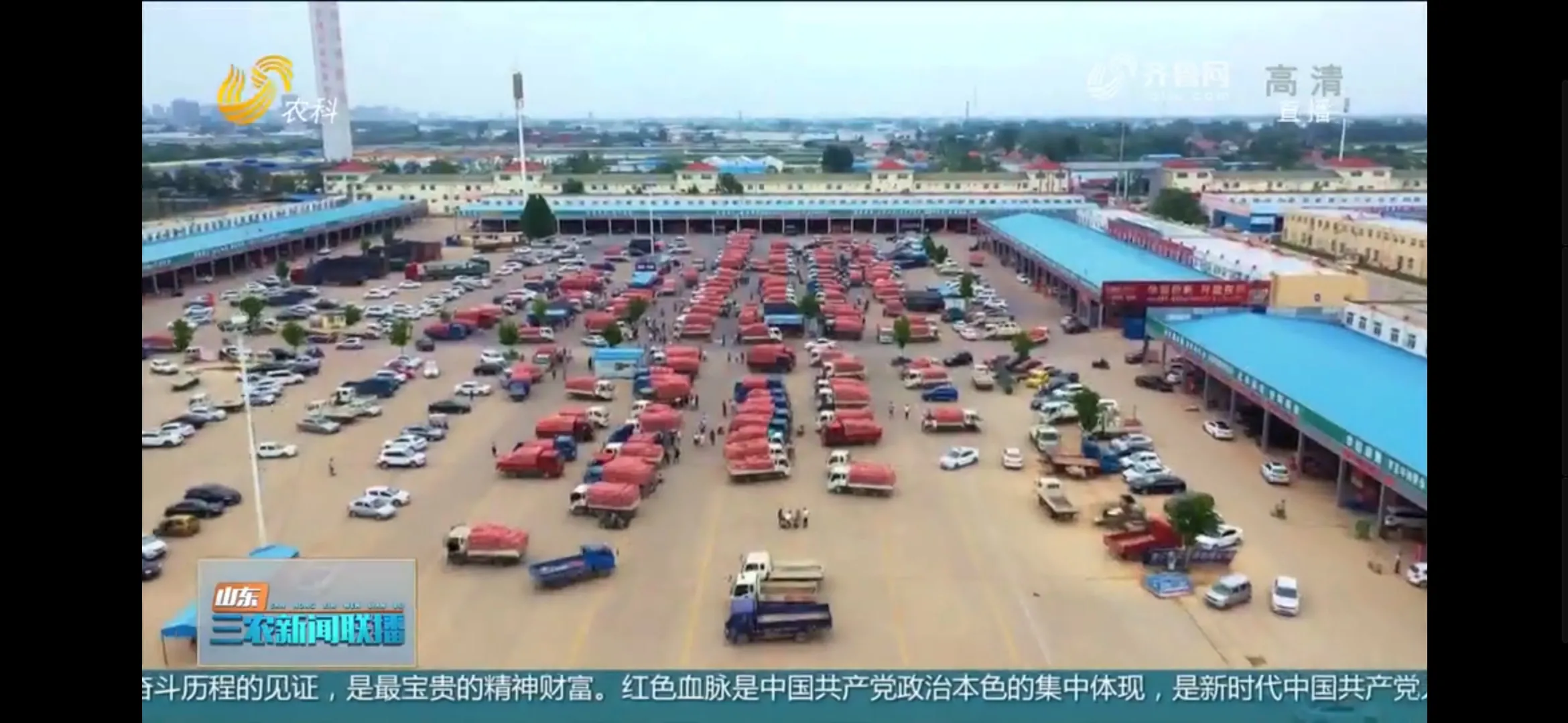 金乡大蒜哪个月入库