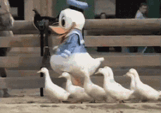 月入一千八一起笑哈哈表情包