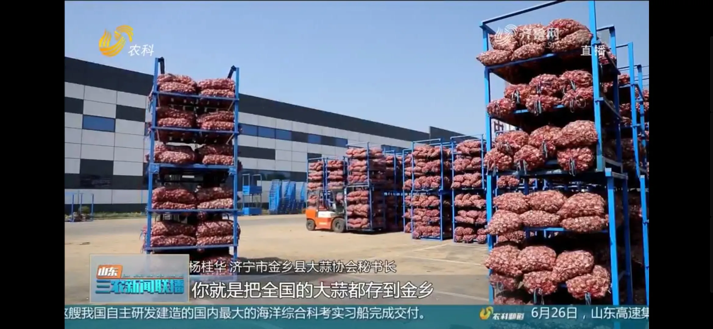 金乡大蒜哪个月入库