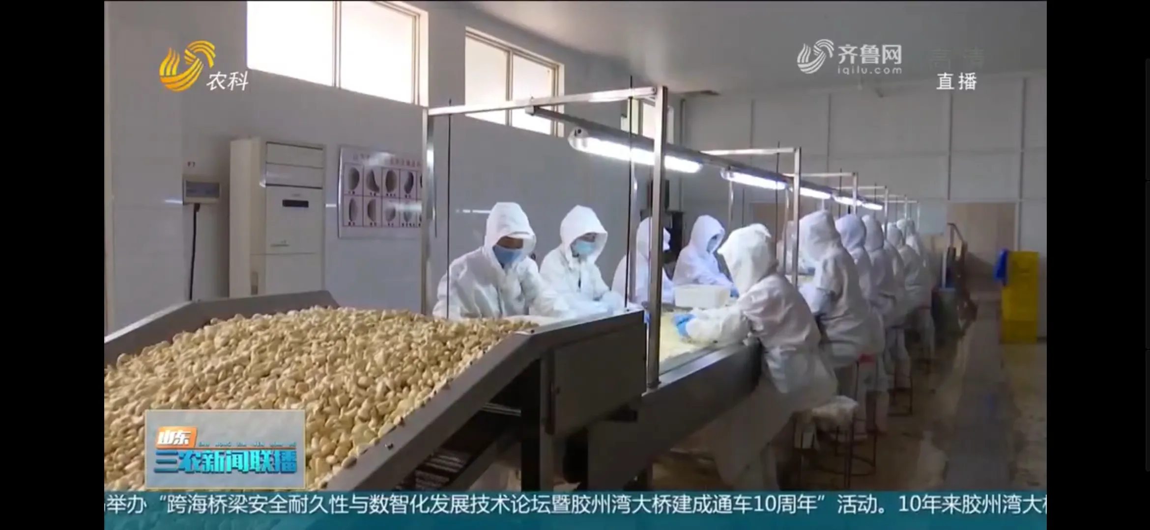 金乡大蒜哪个月入库