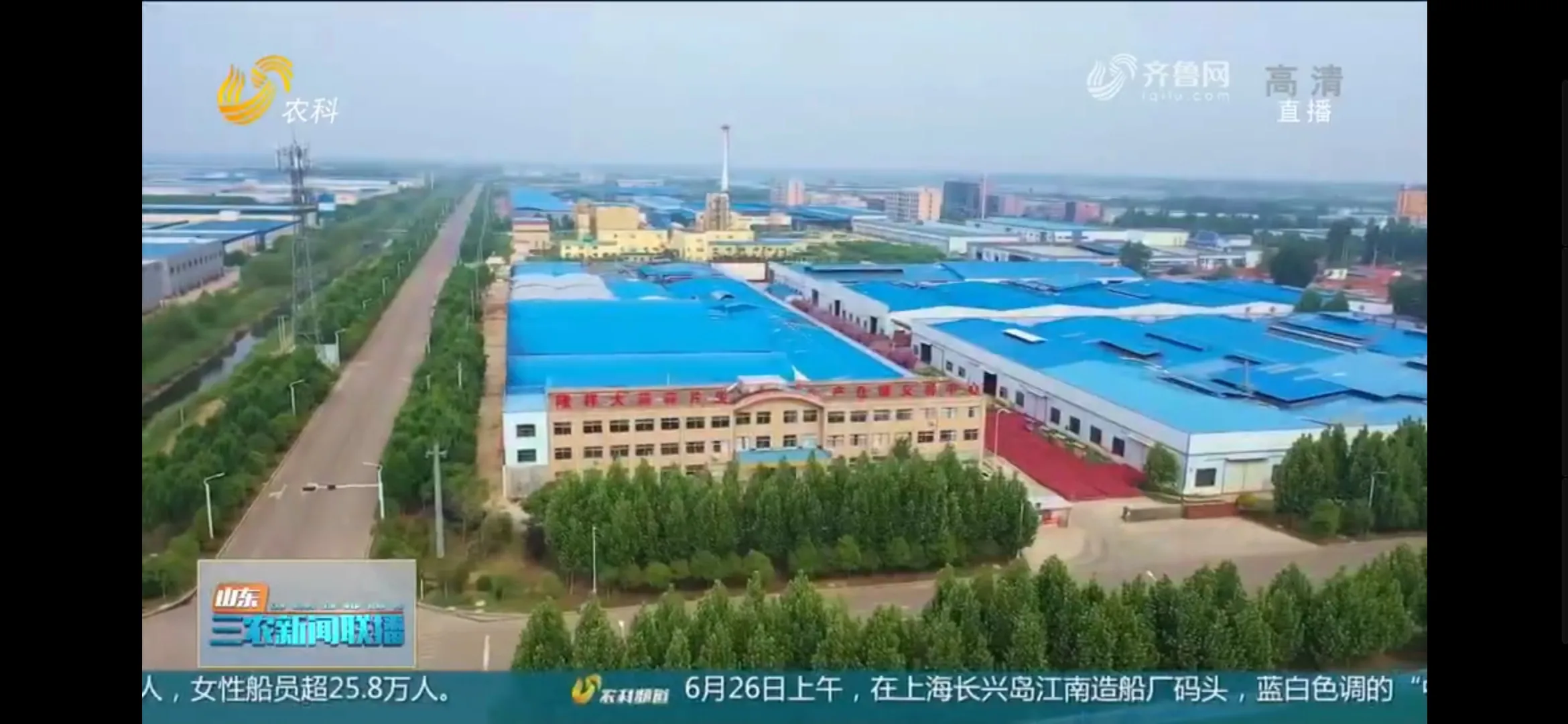 金乡大蒜哪个月入库