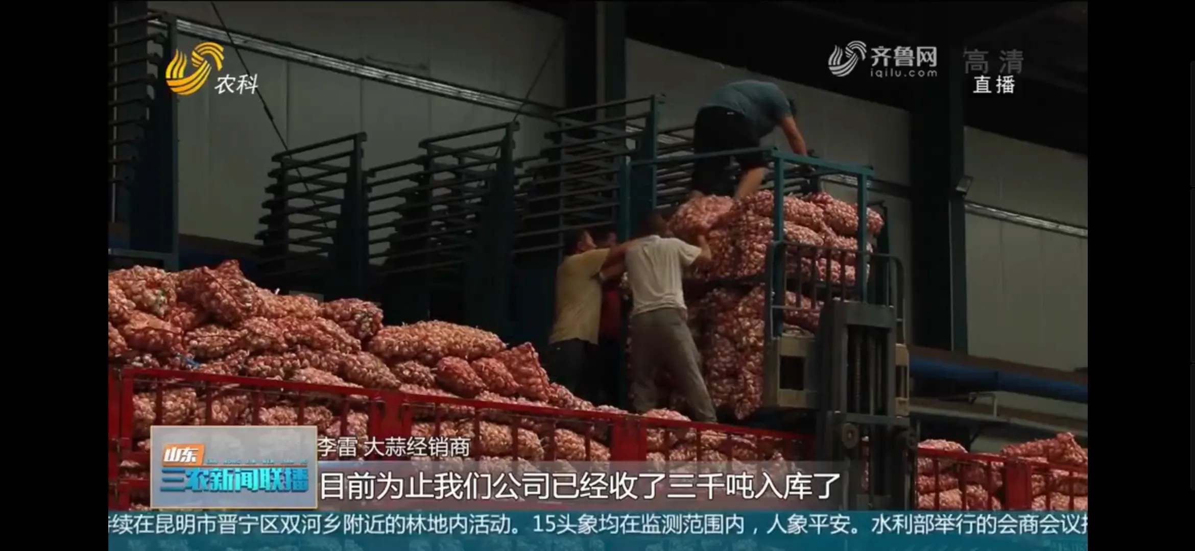 金乡大蒜哪个月入库