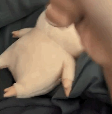 月入一千八一起笑哈哈表情包