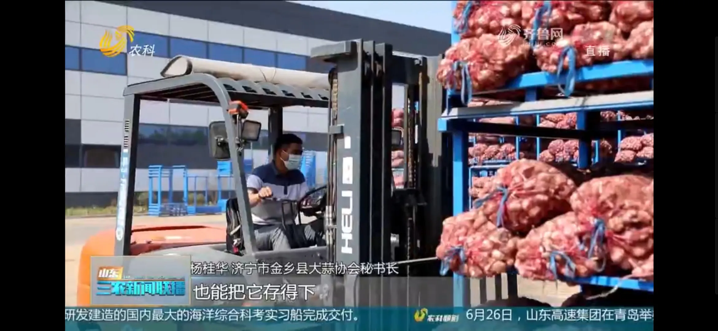 金乡大蒜哪个月入库