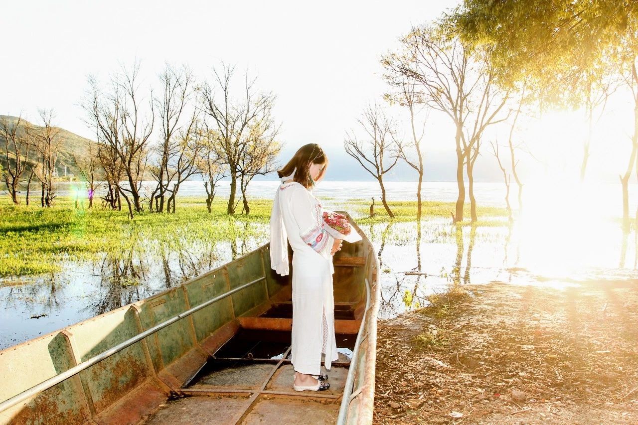 现代诗歌精选300首（优美诗歌欣赏）