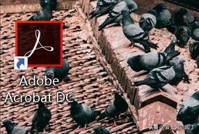 免费的pdf编辑器无水印（免费pdf编辑器破解版无水印软件）