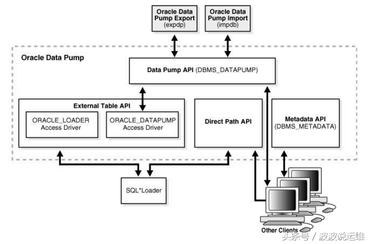 oracle数据库导出数据（oracle数据库菜鸟教程）