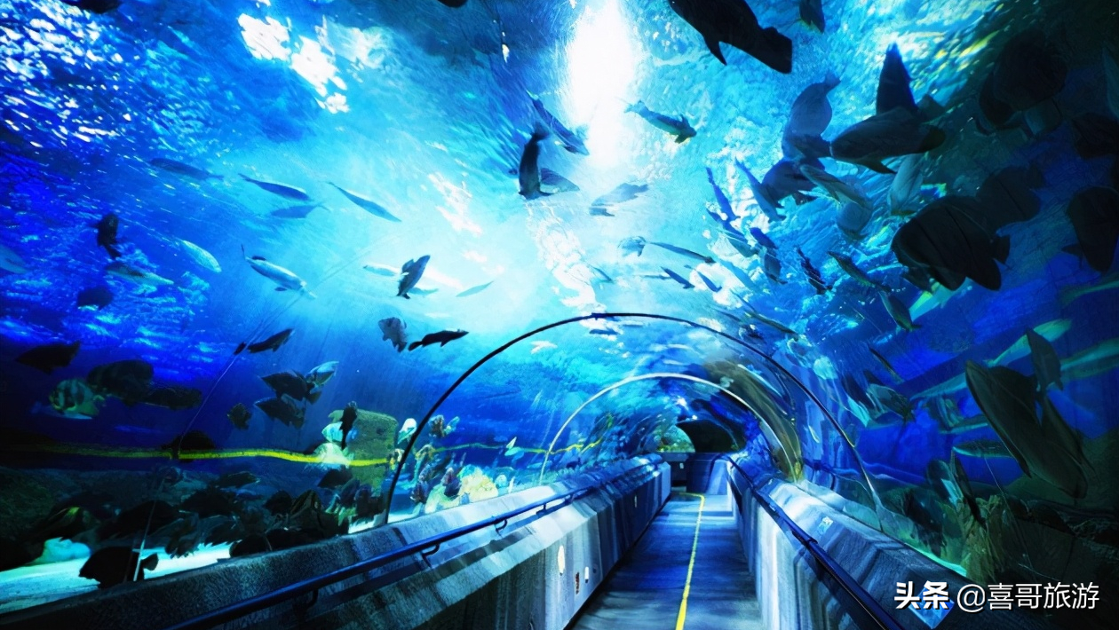 大连有什么好玩的地方（大连旅游必去景点前十）