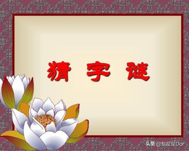 上无兄长打一字,哥哥一半大莫作可字猜打一字？