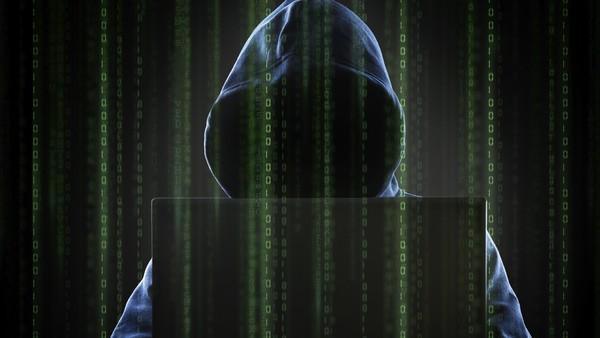 国外代理服务器ip怎么使用（正确使用免费代理IP的方法）