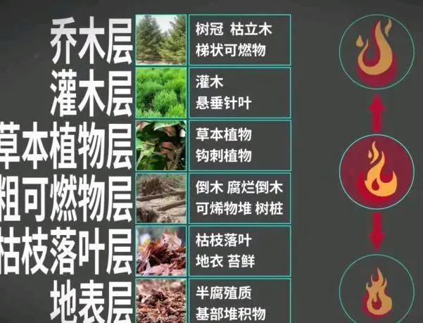 2019四川大凉山火灾,四川凉山多次爆发山火的原因是什么？