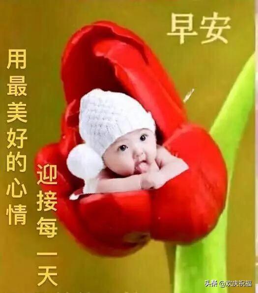 特别漂亮的早上好图片,清晨早上好的问候语和唯美图片大全