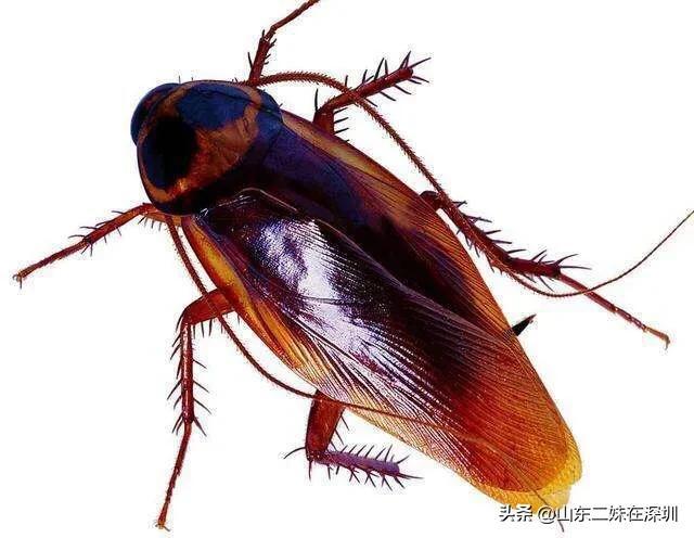 上海十大灵异事件,你遇到最奇怪或者灵异的事情是什么？