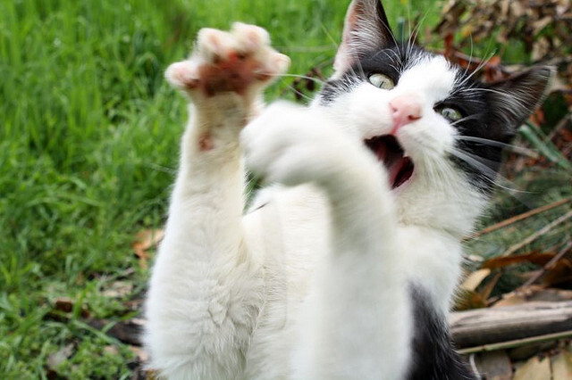 一句话改变叛逆期儿子,面对叛逆期的男孩，父母该怎么办？