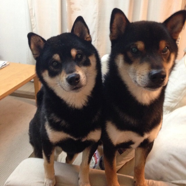 出来混的总是要还的是什么意思？,出来混总是要还的啥意思