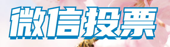 人工投票平台大全,纯人工投票平台有哪些?