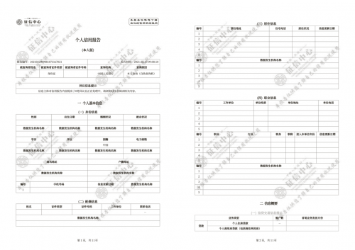 新版纸质征信报告怎么可以无痕修改？