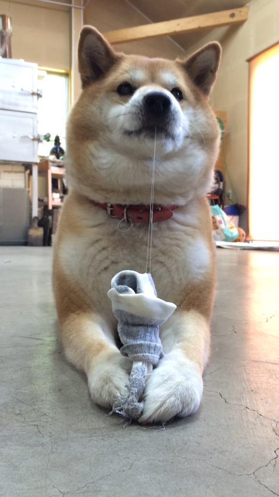 marker是什么意思,marker中文意思是什么？