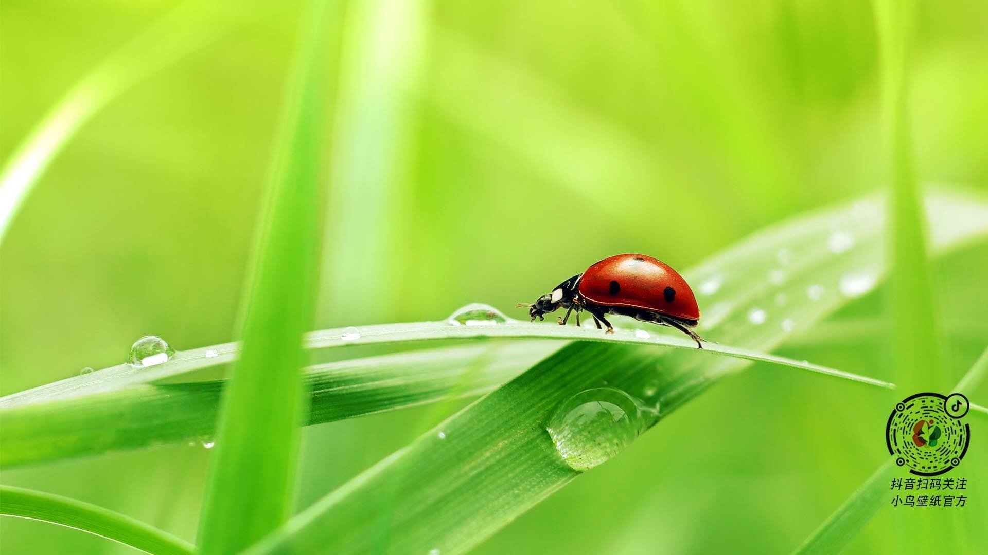 子加偏旁组词,子,加偏旁可以组成什么字?