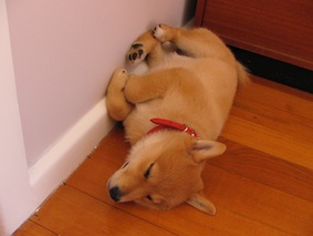 有困难怎么向媒体求助,向社会求助可以用什么方法？