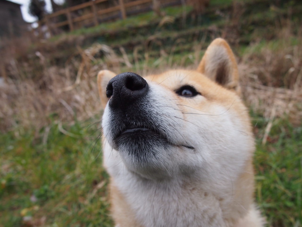 应接不暇是什么意思,应接不暇的应是什么意思？