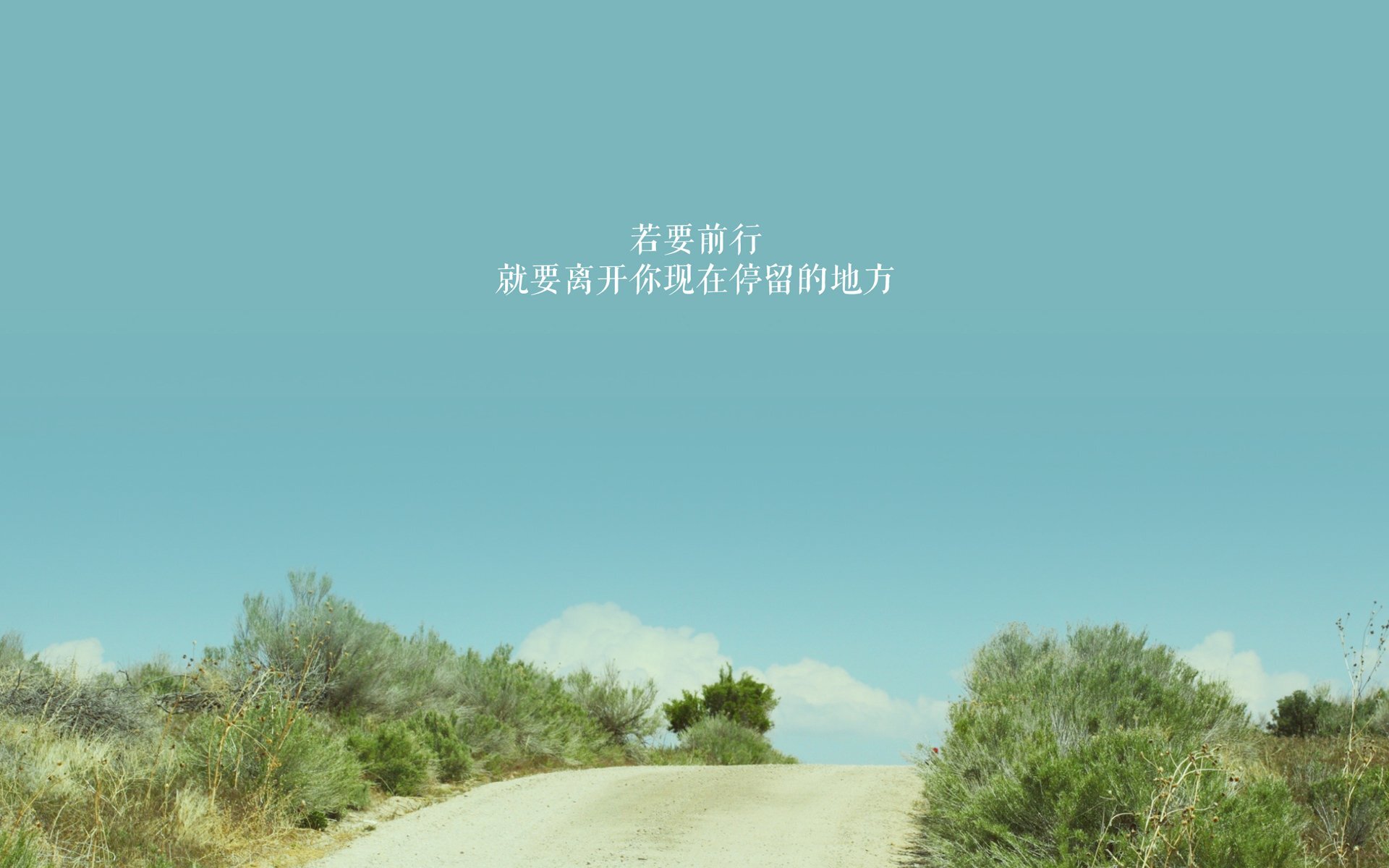 辨别方向的方法100种,大自然中有哪些辨别方向的方法