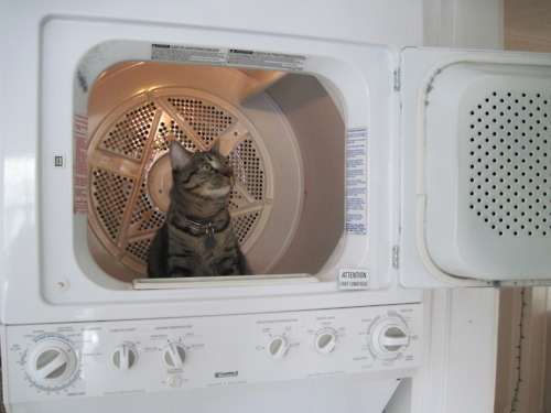 平安喜乐繁体字,“平安”的繁体字和古文是什么？