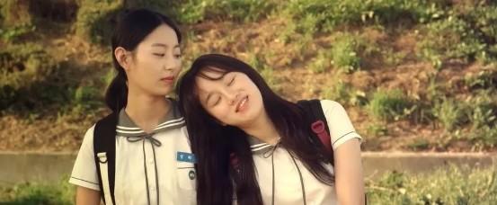 整篇都是车的百合推荐（细写开小车车的百合推荐）