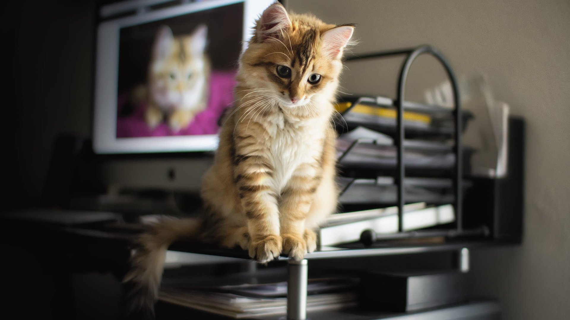 自然形成又合乎理想的词语,兴头十足的四字成语是什么？