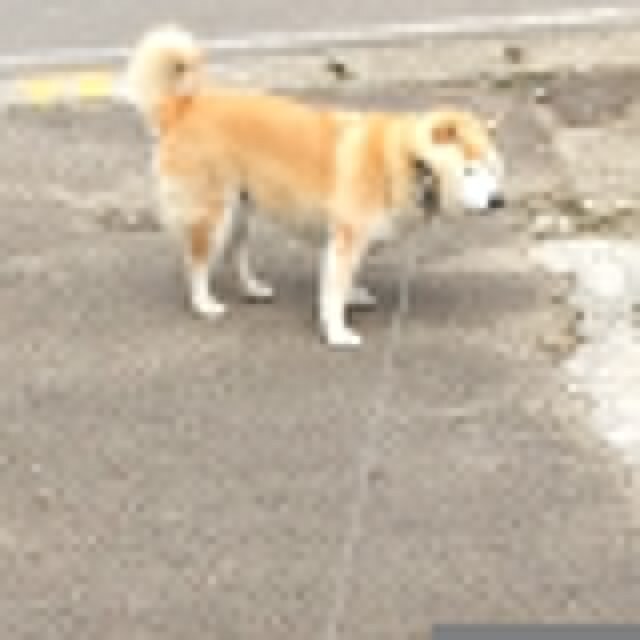 吕蒙正不为物累,庄子二则作者资料和背景？