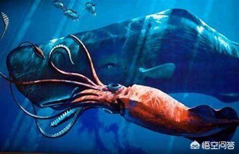 大王陆鱿,巨枪乌贼和大王乌贼谁大？