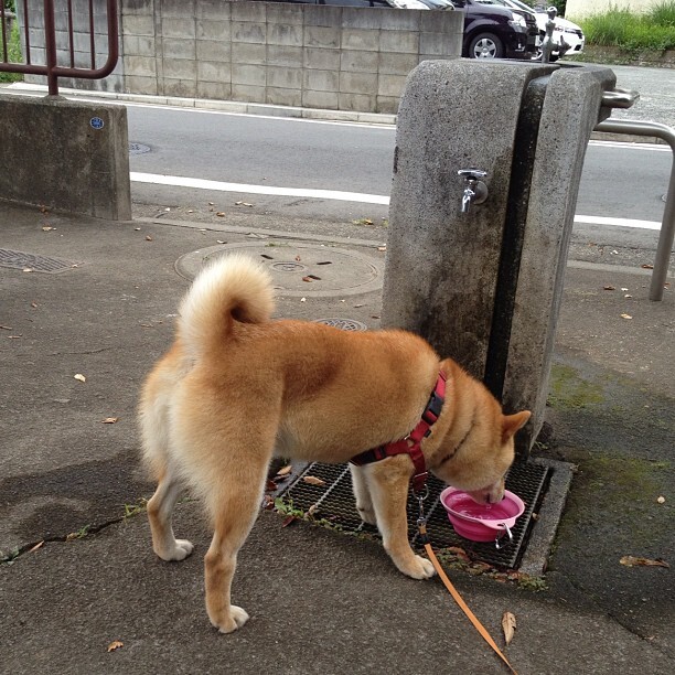 %title插图%num become过去分词,become的过去分词形式?