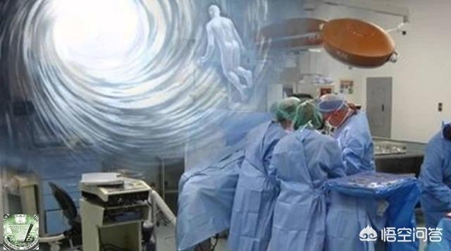 灵魂的拼音,如何科学地解释“灵魂”？