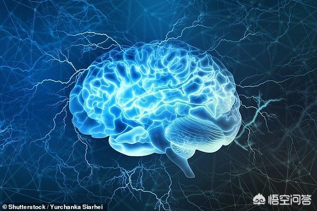 灵魂的拼音,如何科学地解释“灵魂”？