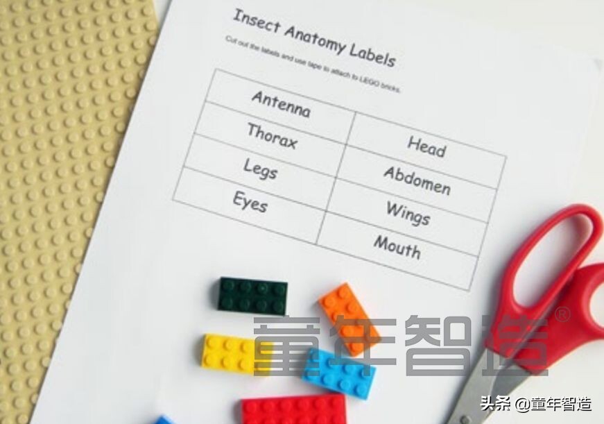 积木搭建的24种方法步骤（教你乐高积木玩出新高度）