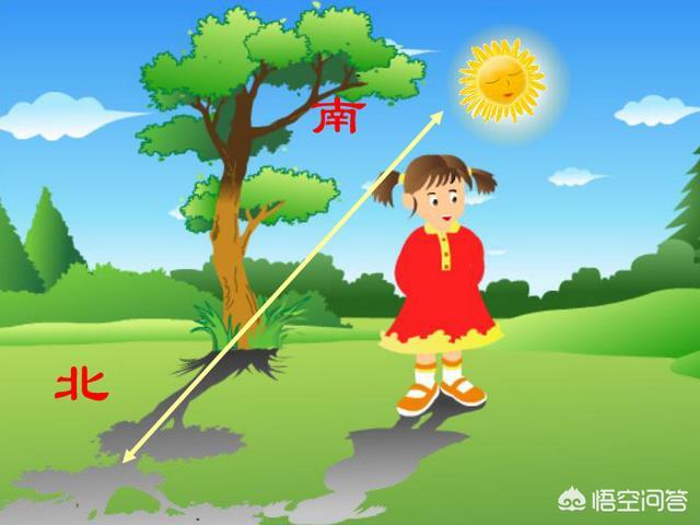 辨别方向的方法100种,简单的辨别方向的方法有哪些？