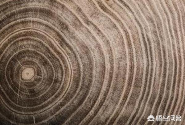 辨别方向的方法100种,简单的辨别方向的方法有哪些？