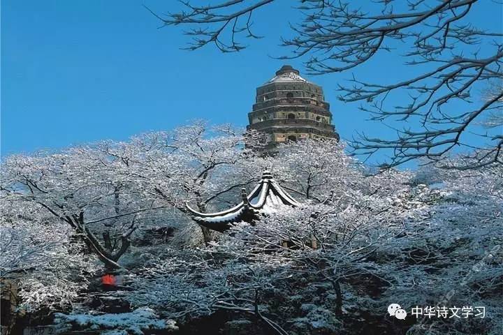 游虎丘小记文言文翻译（游虎丘小记翻译及注释）