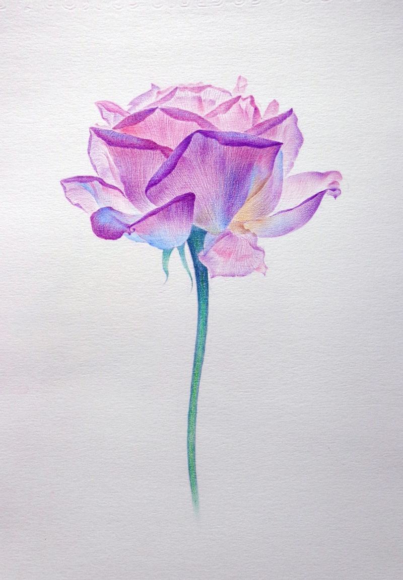 烟波江上使人愁的前一句是什么（黄鹤楼的名句是哪一句）