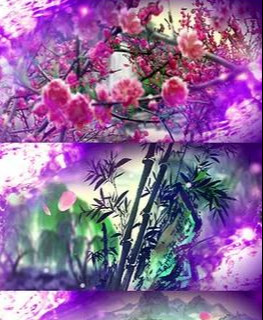 作文提纲格式图片范文（小白必备作文提纲格式大全）