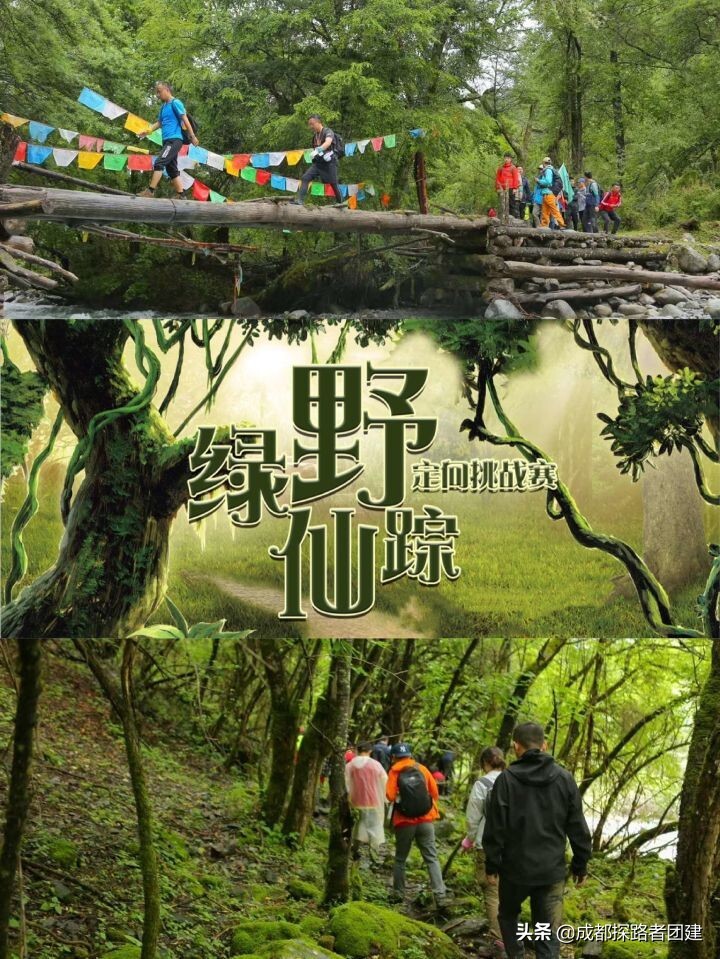 晚会节目类型 晚会上适合演出什么节目