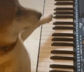 论文翻译软件哪个好用（5款精选论文翻译神器助你轻松写论文）