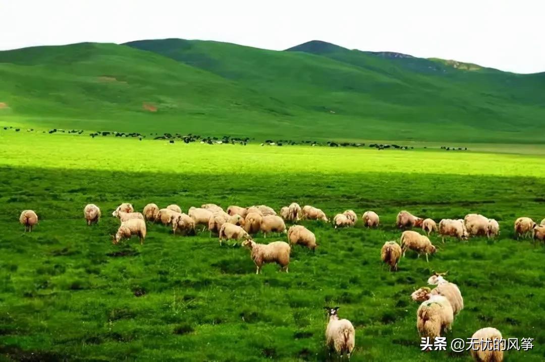 如何看待那些月入几千穿名牌的人