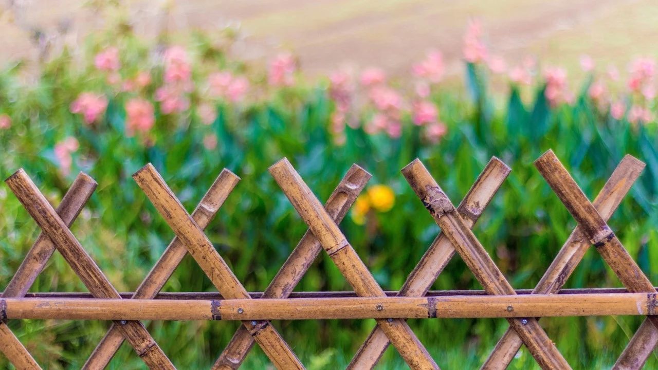 现代诗歌精选300首（优美诗歌欣赏）