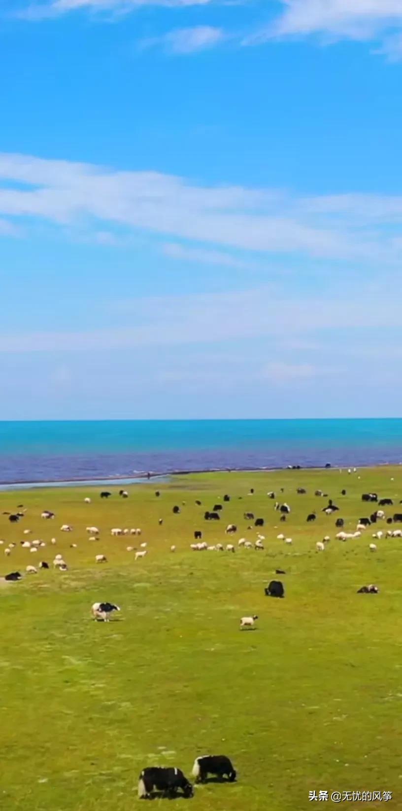 如何看待那些月入几千穿名牌的人