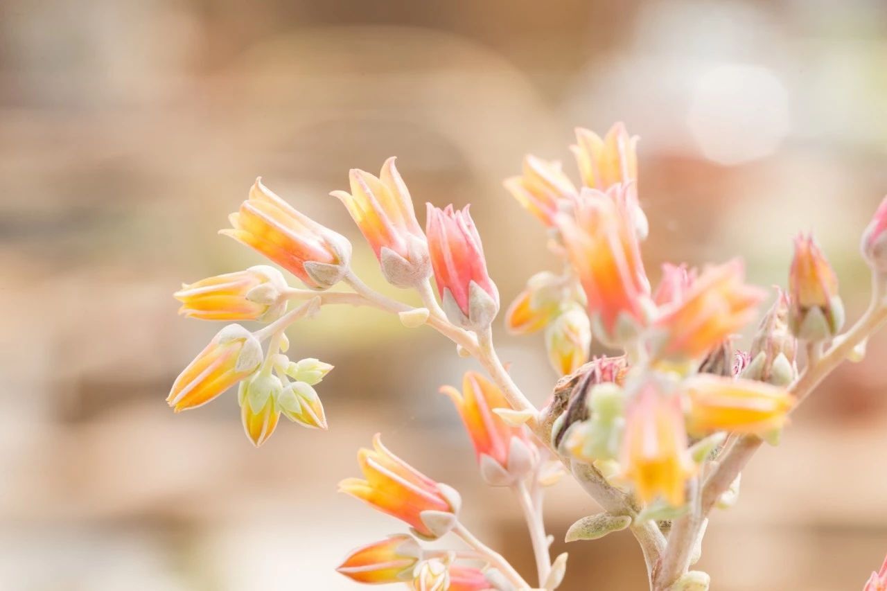 现代诗歌精选300首（优美诗歌欣赏）