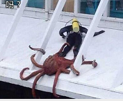 （战栗黑洞）百度网盘