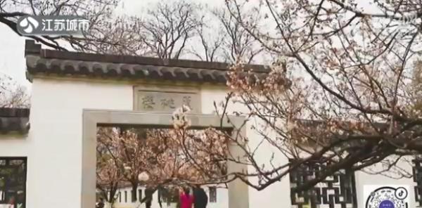 樱桃花和樱花的区别(樱花和樱桃的区别图解)