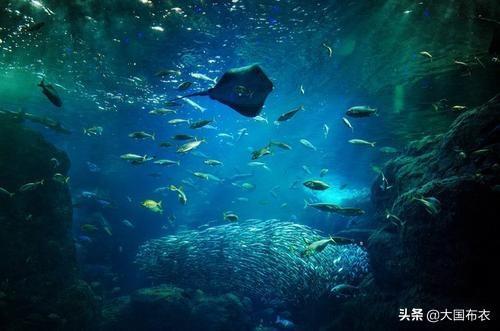 10000米恐怖深海鱼图片（海底9万米有多恐怖）
