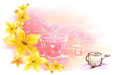 作文提纲格式图片范文（小白必备作文提纲格式大全）